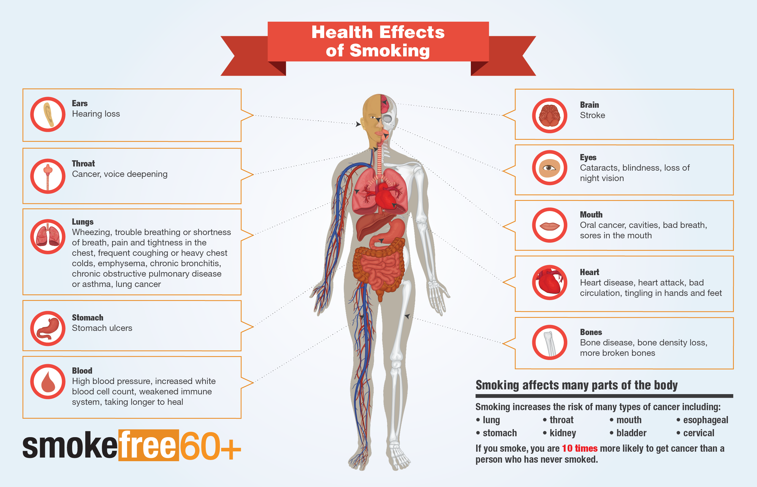 Benefits Of Quitting Smoking Diagram